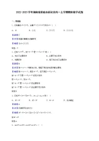 2022-2023学年湖南省娄底市新化县高一上学期期末数学试题（解析版）