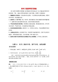 高考数学必刷压轴小题（选择+填空）  专题28 有关三角形中线、角平分线、高线问题 （新高考地区专用）