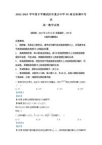 湖北省武汉市5G联合体2022-2023学年高一数学下学期期中联考试题（Word版附解析）