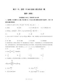 宁夏银川一中、云南省昆明市第一中学2023届高三联合考试一模 数学（理）附答案