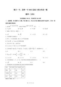宁夏银川一中、云南省昆明市第一中学2023届高三联合考试一模 数学（文）附答案