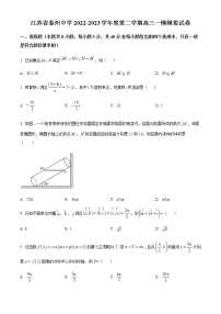 精品解析：江苏省泰州中学2023届高三下学期一模模拟数学试题