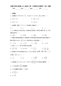 内蒙古阿拉善盟2023届高三第一次模拟考试数学（理）试题（含答案）