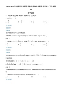 精品解析：陕西师范大学附属中学2020-2021学年高一下学期期中数学试题（解析版）