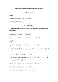 2022-2023学年四川省自贡市荣县高一上学期期中考试数学试题含答案