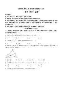 2023届陕西省咸阳市高三下学期高考模拟检测（三）理科数学试题（PDF版）