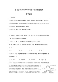 重庆市2023届高三下学期第二次诊断性检测（二模）数学试卷（含部分解析）+Word版