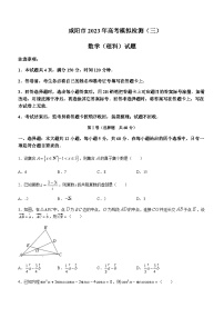 2023届陕西省咸阳市高三下学期高考模拟检测（三）理科数学试题含答案