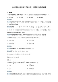 2023届山东省实验中学高三第一次模拟考试数学试题含解析