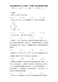 湖北省圆创联考2023届高三下学期五月联合测评数学试题(含答案)