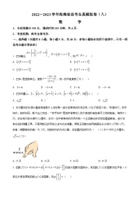 海南省2023届高三高考全真模拟卷（八）数学试题（原卷版）