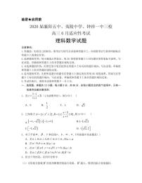 2020届湖北省（襄阳五中，夷陵中学，钟祥一中三校）高三6月适应性考试理科数学试题 PDF版