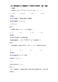 2022届安徽省A10联盟高三下学期开年考数学（理）试题（解析版）