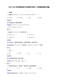 2022-2023学年青海省西宁市海湖中学高一上学期期末数学试题（解析版）