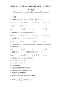 河南省TOP二十名校2023届高三猜题大联考（二）数学（文科）试题（含解析）