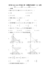 贵州省2022-2023学年高三第一次模拟考试数学（文）试卷（含解析）