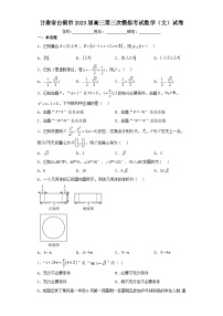 甘肃省白银市2023届高三第三次模拟考试数学（文）试卷（含解析）