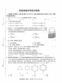 新高考数学考前冲刺卷（原卷版+教师版）