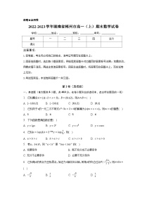 2022-2023学年湖南省郴州市高一（上）期末数学试卷（含解析）