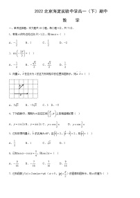 2022北京海淀实验中学高一（下）期中数学（教师版）