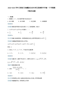 2022-2023学年甘肃省甘南藏族自治州卓尼县柳林中学高一下学期期中数学试题含解析