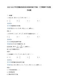 2022-2023学年安徽省临泉县田家炳实验中学高一下学期期中考试数学试题含解析