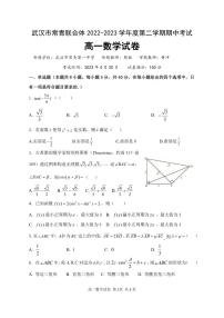 湖北省武汉市常青联合体2022-2023高一下学期期中考试数学试卷+答案
