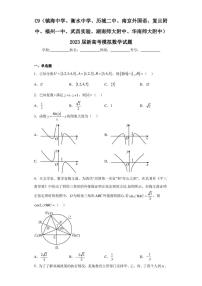 2023届新高考模拟数学试题