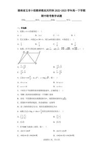 湖南省五市十校教研教改共同体2022-2023学年高一下学期期中联考数学试题