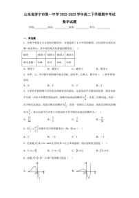 山东省济宁市第一中学2022-2023学年高二下学期期中考试数学试题