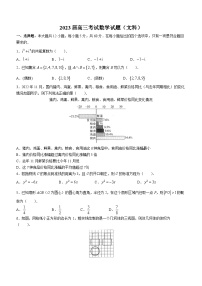 四川省雅安市部分校2022-2023学年高三下学期4月联考数学（文科）试题