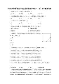 2022-2023学年四川省成都市城厢中学高一（下）期中数学试卷（含解析）