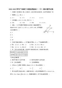 2022-2023学年广西南宁市普高联盟高一（下）期末数学试卷（含解析）