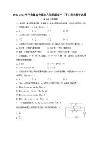 2022-2023学年安徽省合肥市六校联盟高一（下）期末数学试卷（含解析）