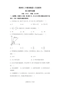 湖南省株洲市二中教育集团2022-2023学年高三上学期1月期末联考数学试题