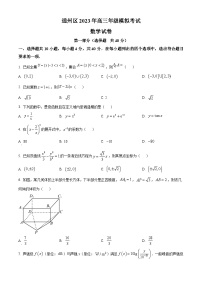 北京市通州区2023届高三模拟考试数学试题  Word版无答案