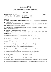 2024武汉部分学校高三上学期9月调研考试数学试题含答案