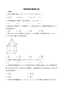 新高考数学模拟练习卷四（原卷版+解析版）