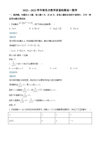 山东省青岛市2022-2023学年高一上学期期中数学试题及答案