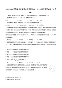 2023-2024学年黑龙江省重点大学附中高一（上）月考数学试卷（10月份）（含解析）