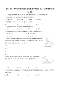 2023-2024学年辽宁省大连市金州重点中学高二（上）月考数学试卷（10月份）（含解析）