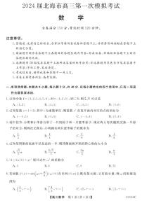 2024北海高三上学期第一次模拟考试数学PDF版含解析