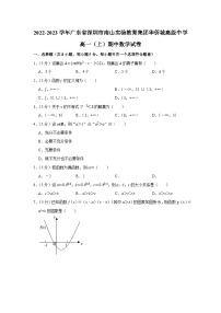 2022-2023学年广东省深圳市南山实验教育集团华侨城高级中学高一（上）期中数学试卷
