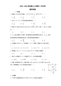 广东省茂名市信宜市第二中学2023-2024学年高二上学期11月月考数学试题