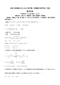 安徽省合肥市六校联盟2023-2024学年高三上学期期中联考数学试题