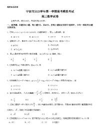 2024宁波高三上学期高考模拟考试数学试题含答案