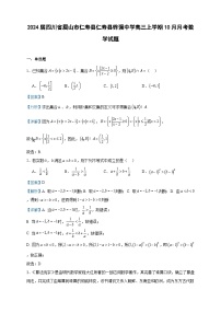 2024届四川省眉山市仁寿县仁寿县铧强中学高三上学期10月月考数学试题含答案