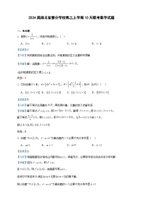 2024届湖北省部分学校高三上学期10月联考数学试题含解析