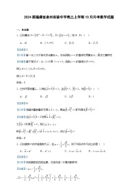 2024届福建省泉州实验中学高三上学期10月月考数学试题含解析