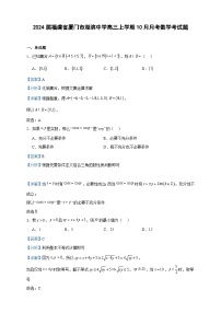 2024届福建省厦门市湖滨中学高三上学期10月月考数学考试题含解析